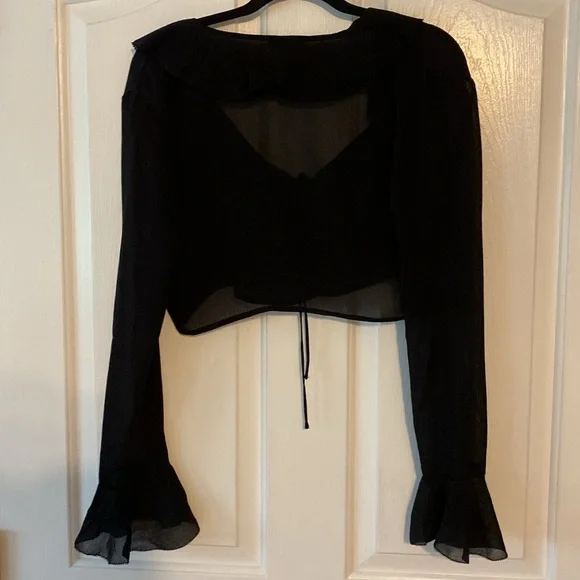 Dynamite Sheer Ruffled Crop Top - Picture 5 of 5